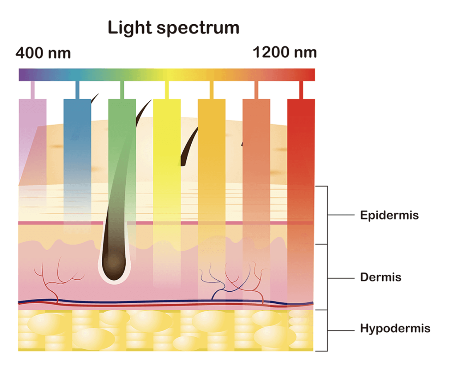 Screenshot 2025-12-16 at 10.32.25 AM